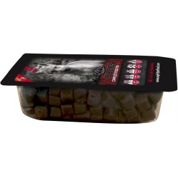 ALPHA SPIRIT Puppies -...