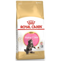 ROYAL CANIN Kitten Maine...