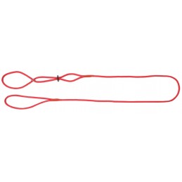 DINGO Smycz wystawowa...