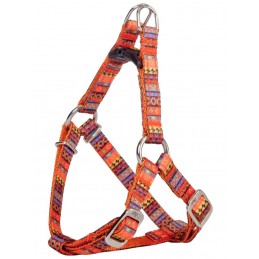 DINGO Szelki dla Yorka...