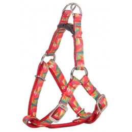 DINGO Szelki dla Yorka...