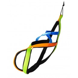 DINGO Szelki zaprzęgowe...