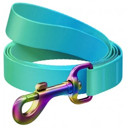 WAUDOG Nylon Recycled smycz...