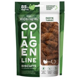 WIEJSKA ZAGRODA PIES...