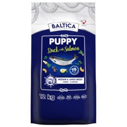 BALTICA EXCELLENT Puppy...