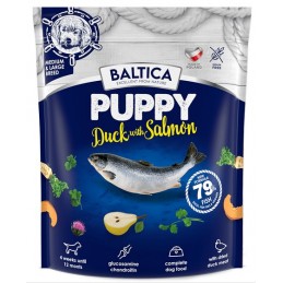 BALTICA EXCELLENT Puppy...