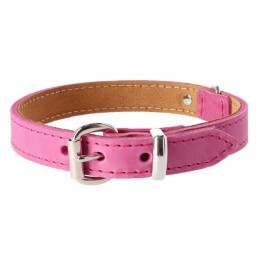 DINGO Obroża skórzana...