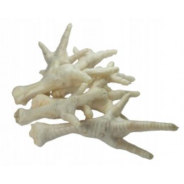 ONERS Kurze Łapki Białe 10...