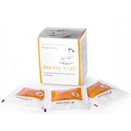 GEULINCX DiaDog N Cat -...