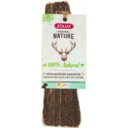 ZOLUX Poroże jelenia PUPPY...