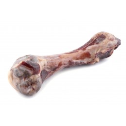 MACED Kość z szynki...