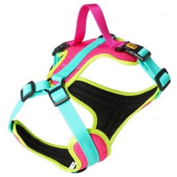 DINGO Szelki Active -...