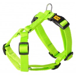 DINGO Szelki z Taśmy...