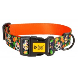 DINGO Obroża regulowana...