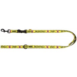 DINGO Smycz przepinana City...