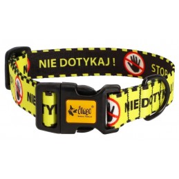 DINGO Obroża regulowana...