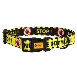 DINGO Obroża regulowana...