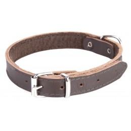 DINGO Obroża skórzana...