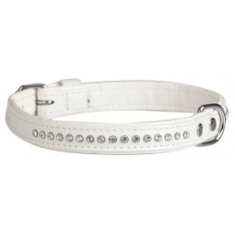 DINGO Obroża Glamour szer....