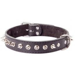 DINGO Obroża skórzana z...