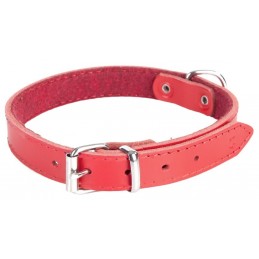 DINGO Obroża skórzana...