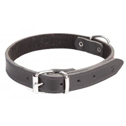 DINGO Obroża skórzana...