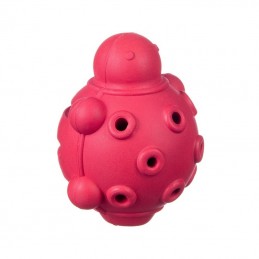 BARRY KING Żółw na...