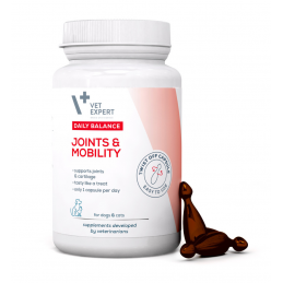 VETEXPERT Joints and...