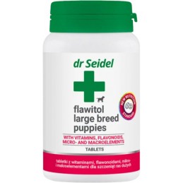 DR SEIDEL Flawitol dla...