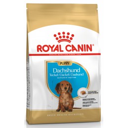 ROYAL CANIN Dachshund...