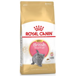 ROYAL CANIN Kitten British...
