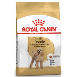 ROYAL CANIN Poodle Adult 1,5kg